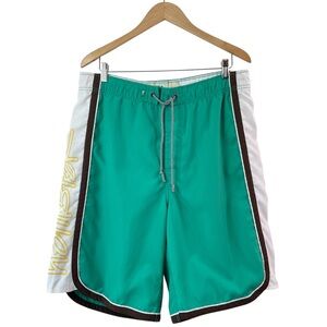 HOLLISTER Men’s Vintage 90’s Y2K Multicolor Swim Trunks Mesh Lined Shorts Medium